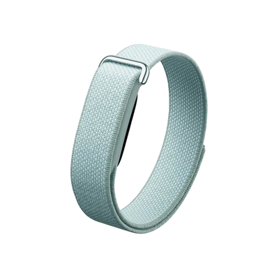 Google Fitbit Air Screen-Free Fitness Tracker - Fog 