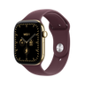 Radiant Gold / Burgundy Sport Band