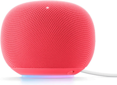 Google Home Speaker (2026) - Berry 