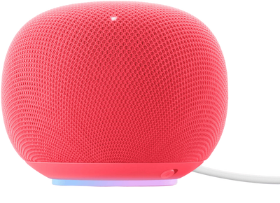 Google Home Speaker (2026) - Berry 