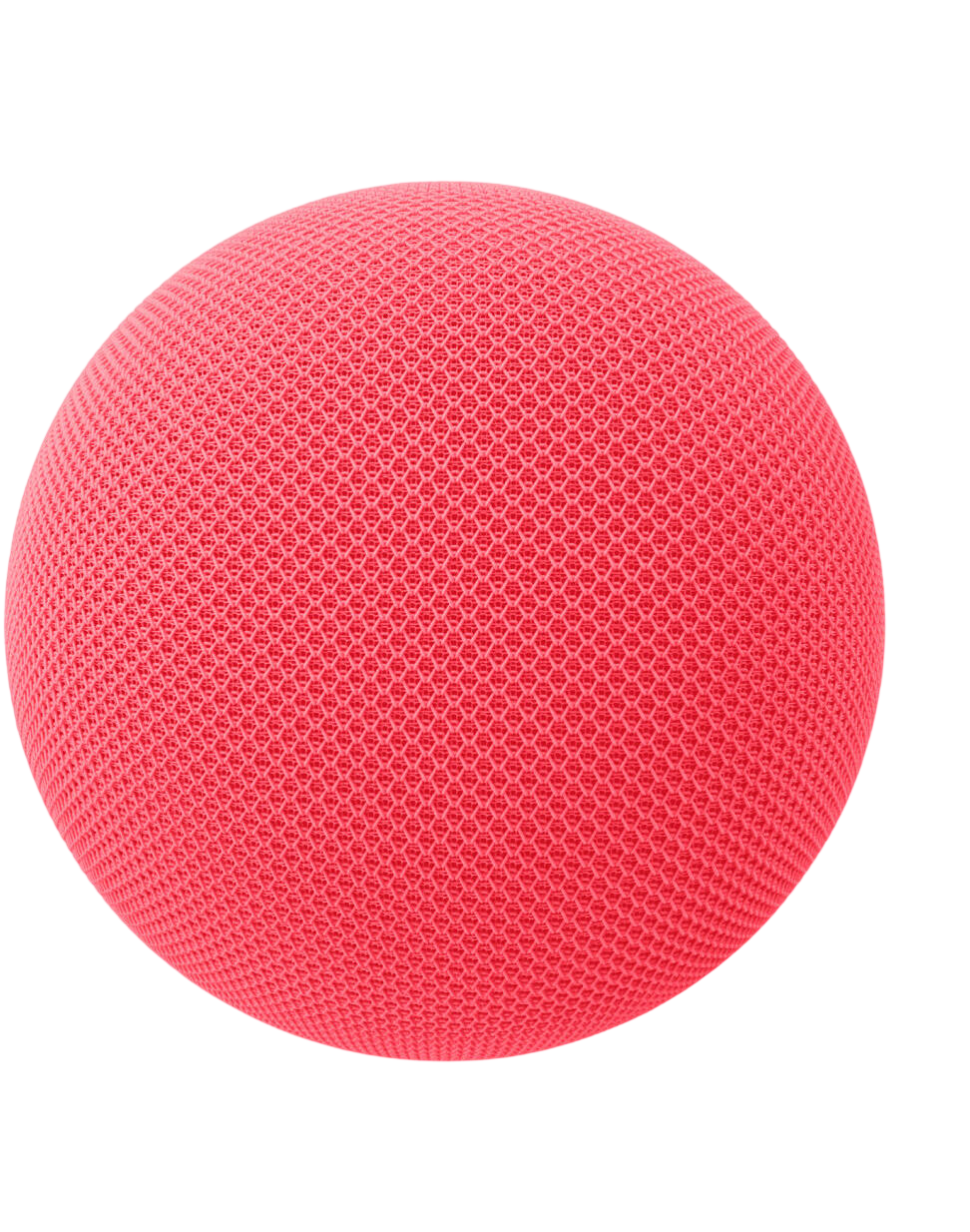 Google Home Speaker (2026) - Berry 